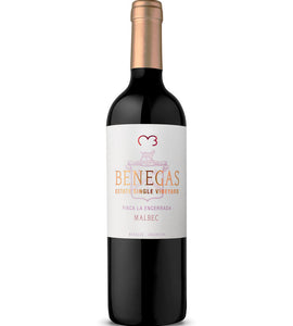 Benegas Lynch La Encerrada Vineyard Malbec 2019 750 ml bottle VINTAGES