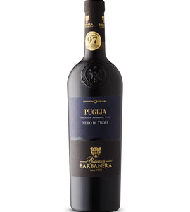 Barbanera Nero di Troia 2022 750 ml bottle VINTAGES