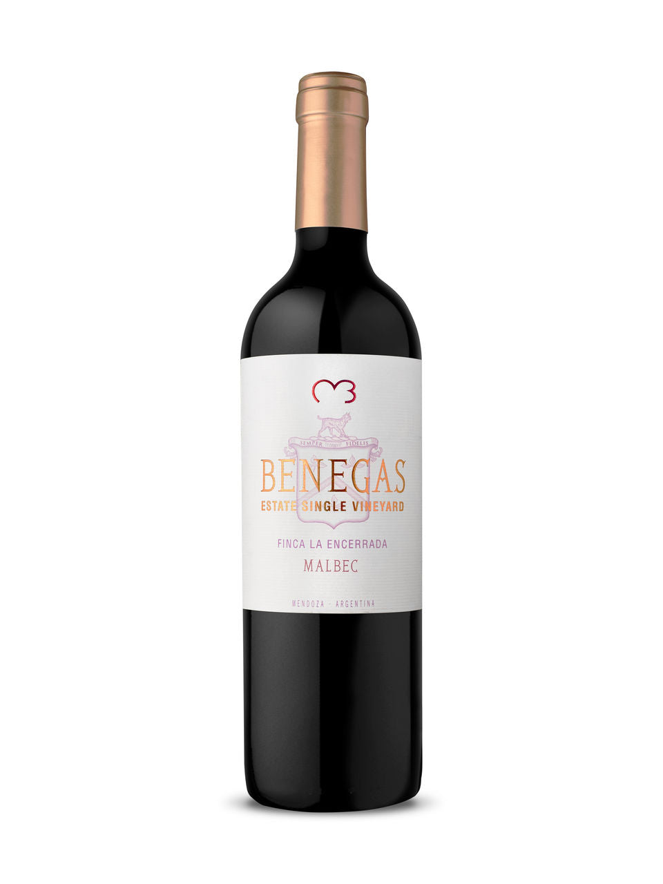 Benegas Lynch La Encerrada Vineyard Malbec 2019 750 ml bottle VINTAGES