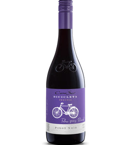 Cono Sur Bicicleta Pinot Noir 750 ml bottle