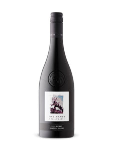 Two Hands Gnarly Dudes Shiraz 750 ml bottle VINTAGES