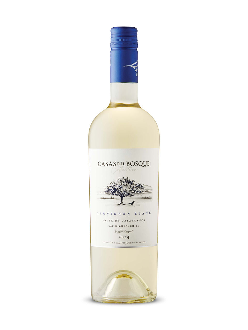 Casas del Bosque Collection Sauvignon Blanc 750 ml bottle VINTAGES